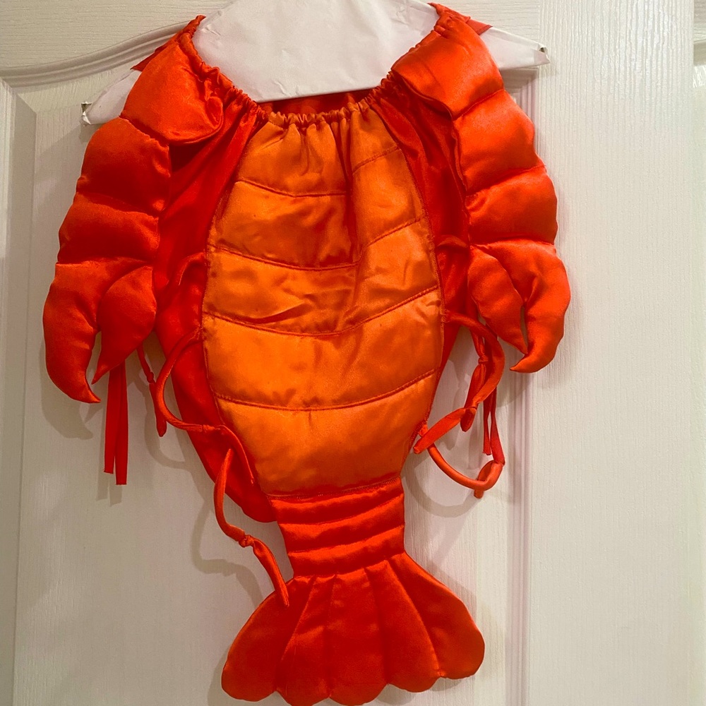 Infant Lobster Costume 🦞